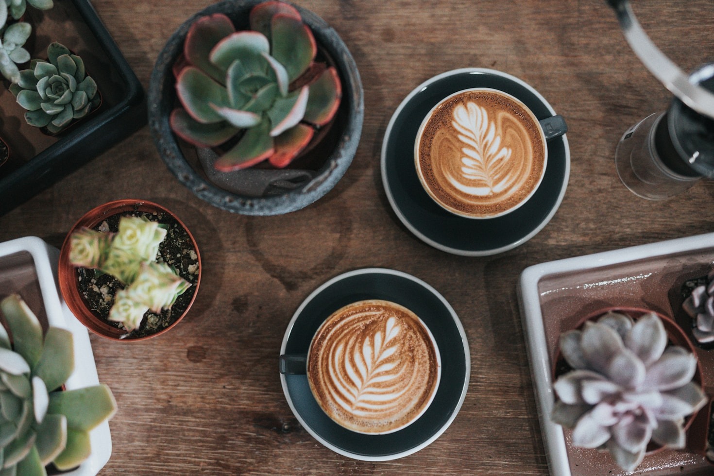 The Artisan Craft Behind Toraja Coffee Blends