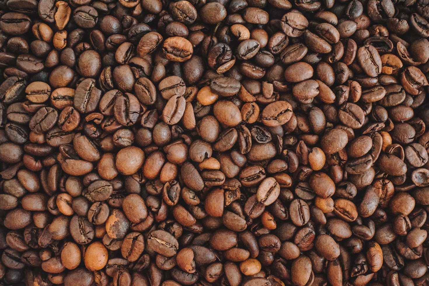 Top Reasons to Choose Indonesian Coffee for Your Daily Brew